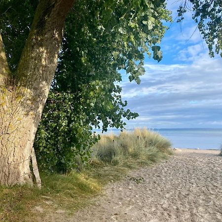 Feriendorf Suedstrand Haus 49 Pelzerhaken Esterno foto
